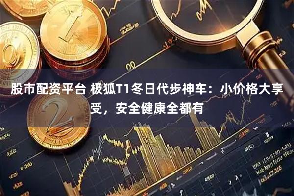 股市配资平台 极狐T1冬日代步神车：小价格大享受，安全健康全都有