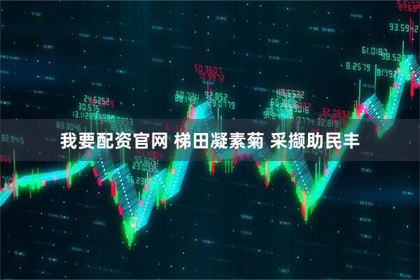 我要配资官网 梯田凝素菊 采撷助民丰