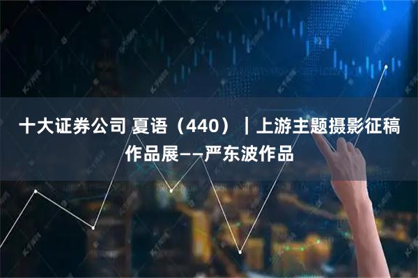 十大证券公司 夏语（440）｜上游主题摄影征稿作品展——严东波作品
